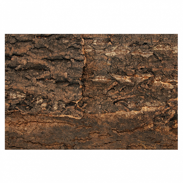 Natural Cork Background (Kork-Rückwand)